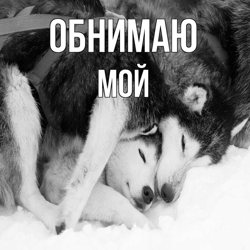 Картинка Обнимаю, Мой
