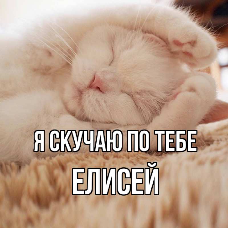 Картинка Я скучаю по тебе, Елисей