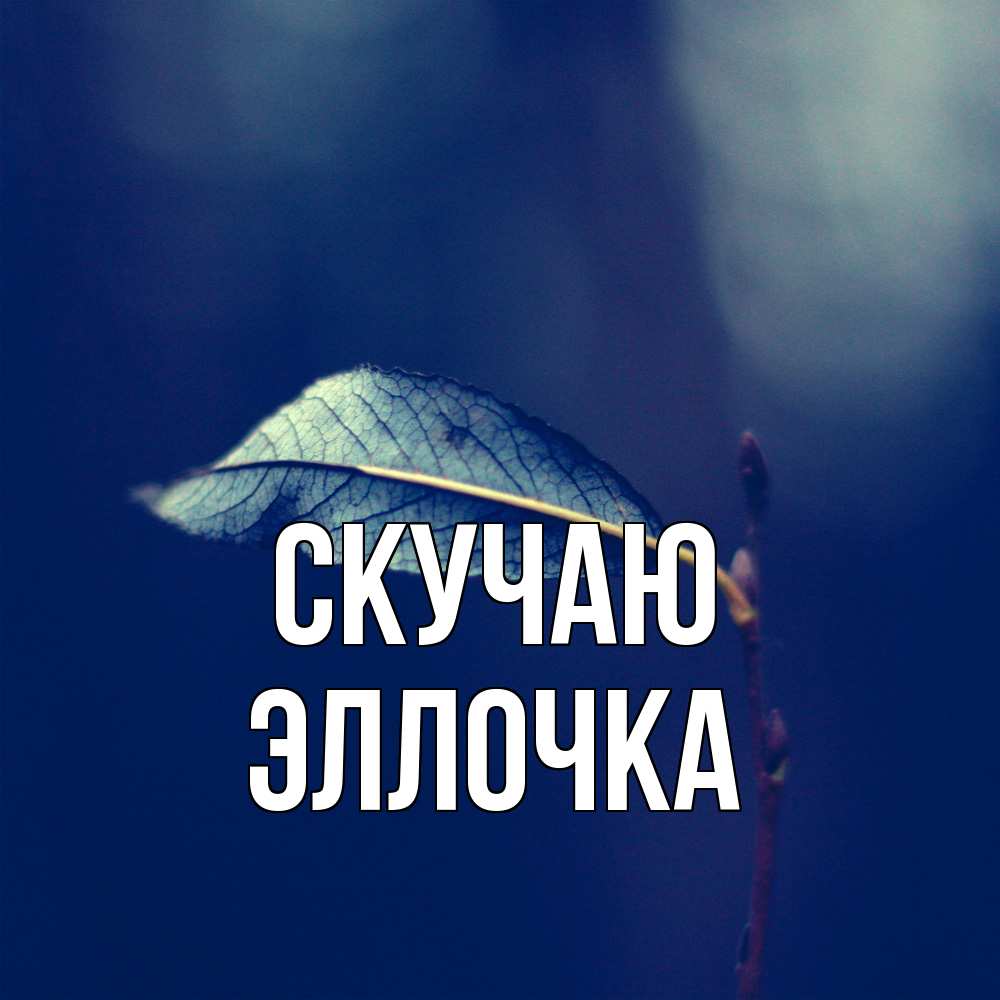 Открытка  с именем. Эллочка, Скучаю  