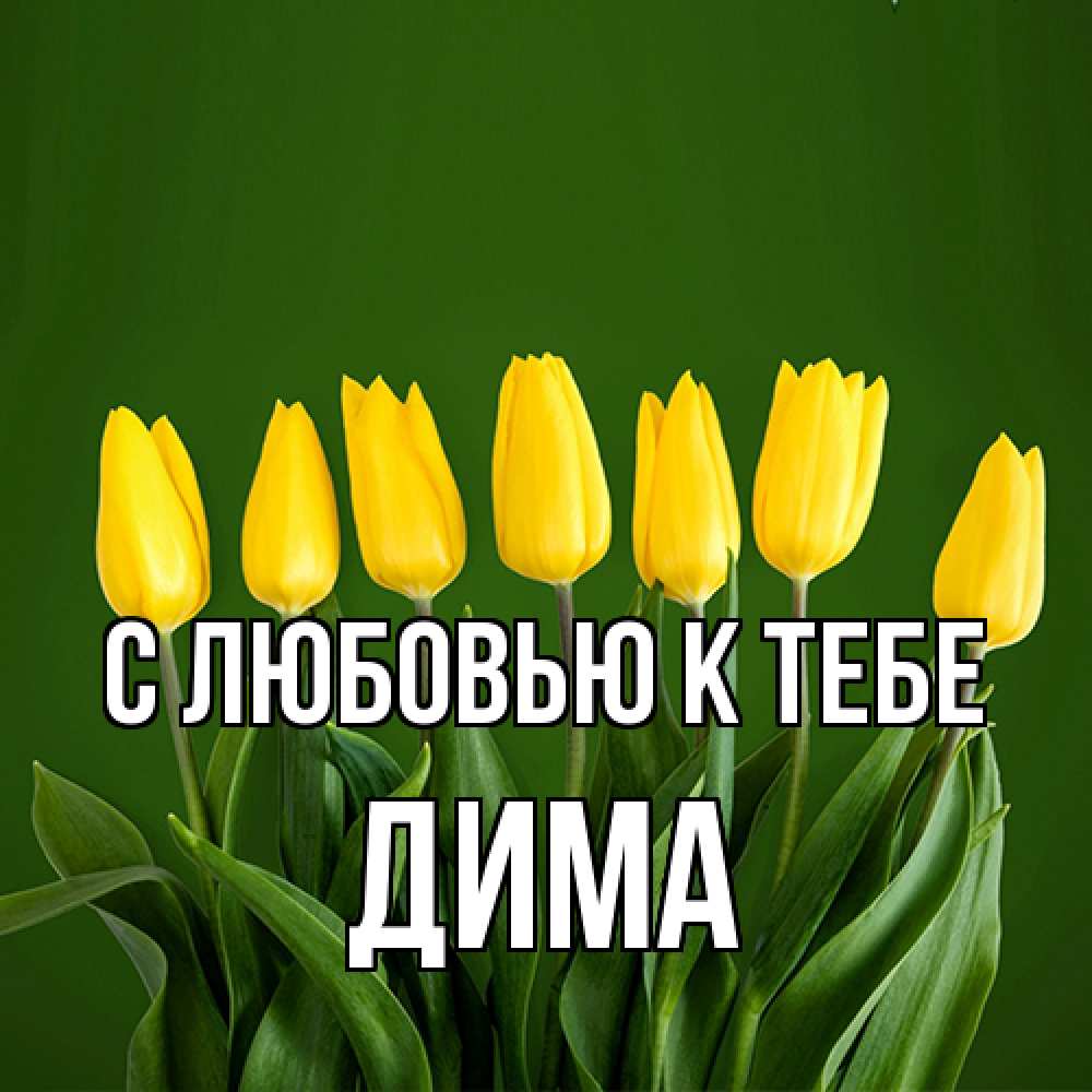 Открытка  с именем. Дима, С любовью к тебе  