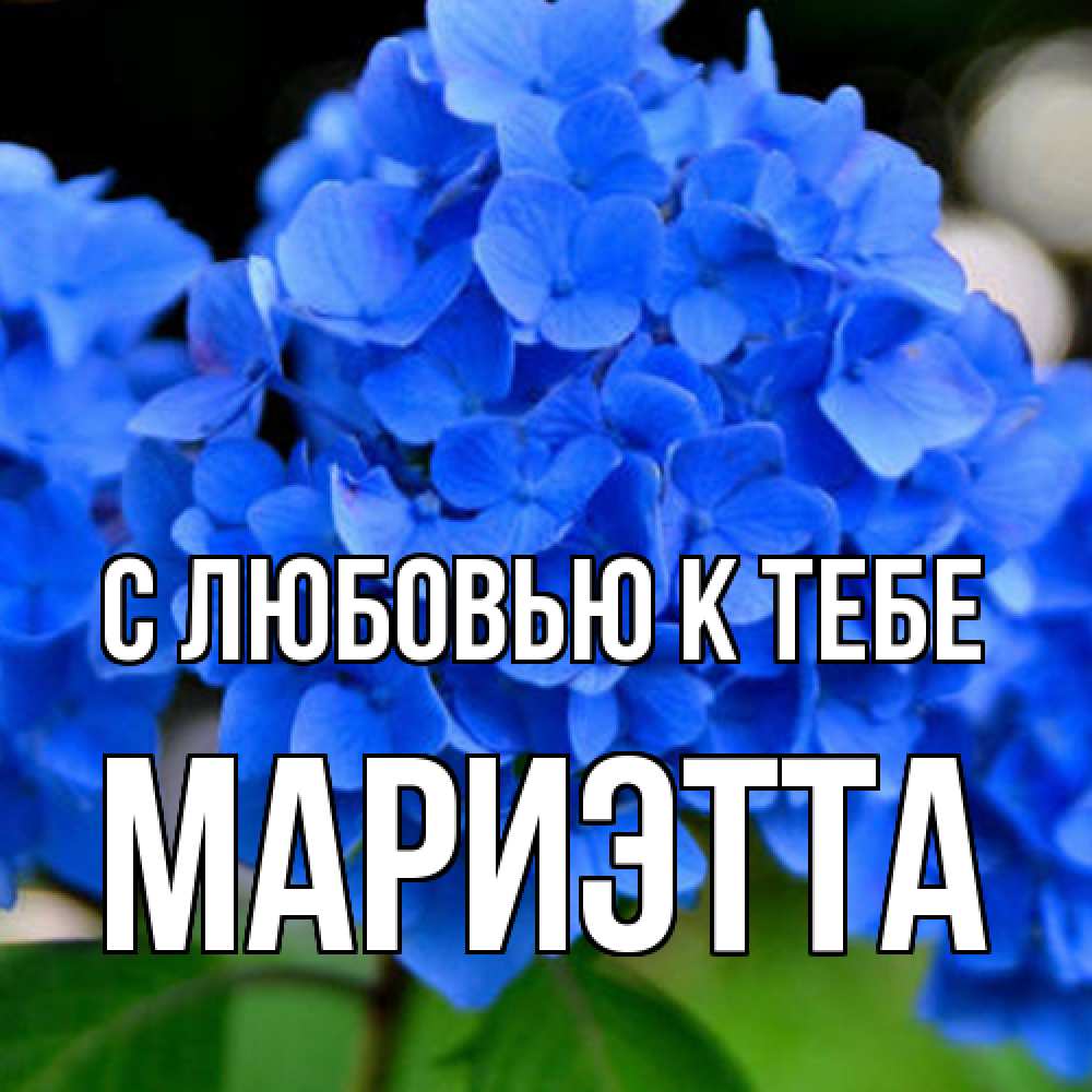 Открытка  с именем. Мариэтта, С любовью к тебе  