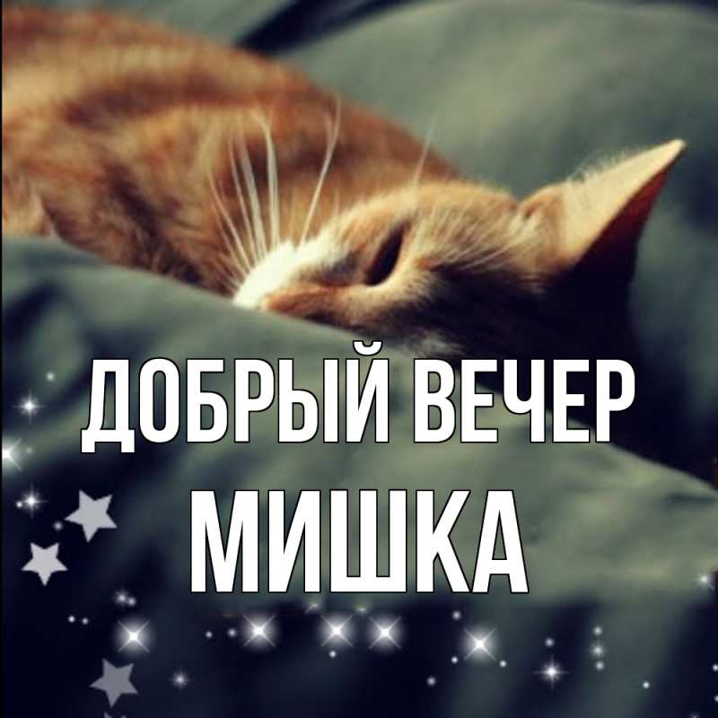 Картинка Добрый вечер, Мишка