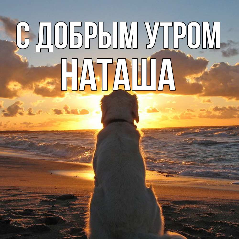 Открытка  с именем. Наташа, С добрым утром  