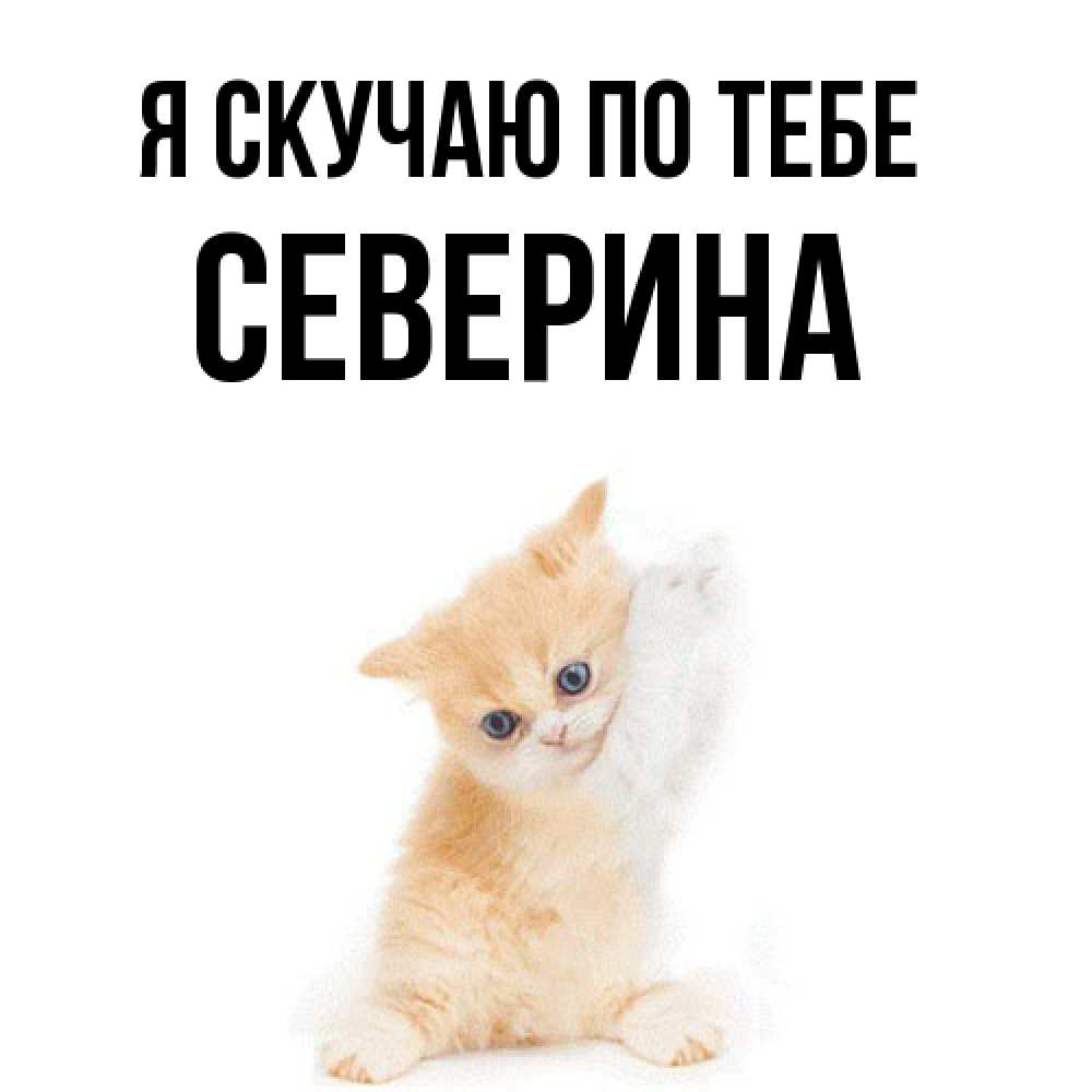 Открытка  с именем. Северина, Я скучаю по тебе  