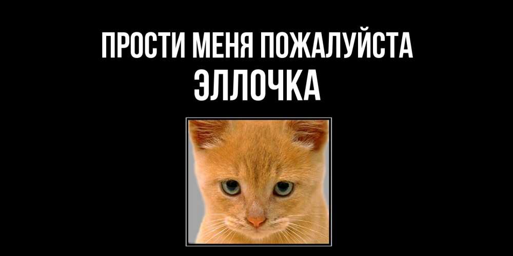 Открытка  с именем. Эллочка, Прости меня пожалуйста  