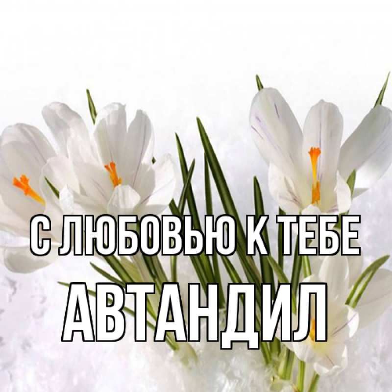 Картинка С любовью к тебе, Автандил