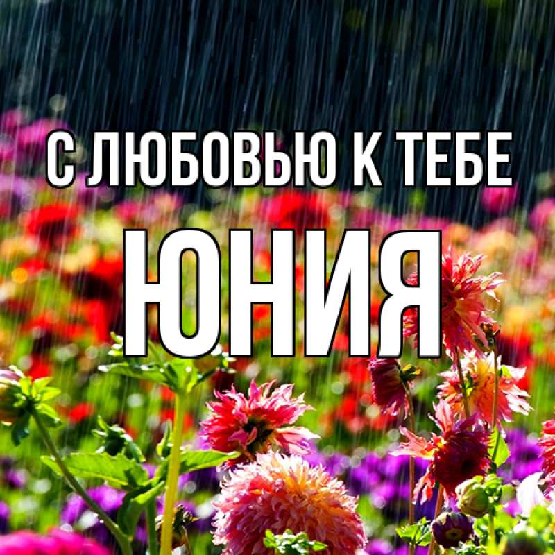 Картинка С любовью к тебе, Юния