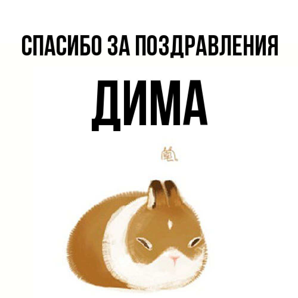 Открытка  с именем. Дима, Спасибо за поздравления  