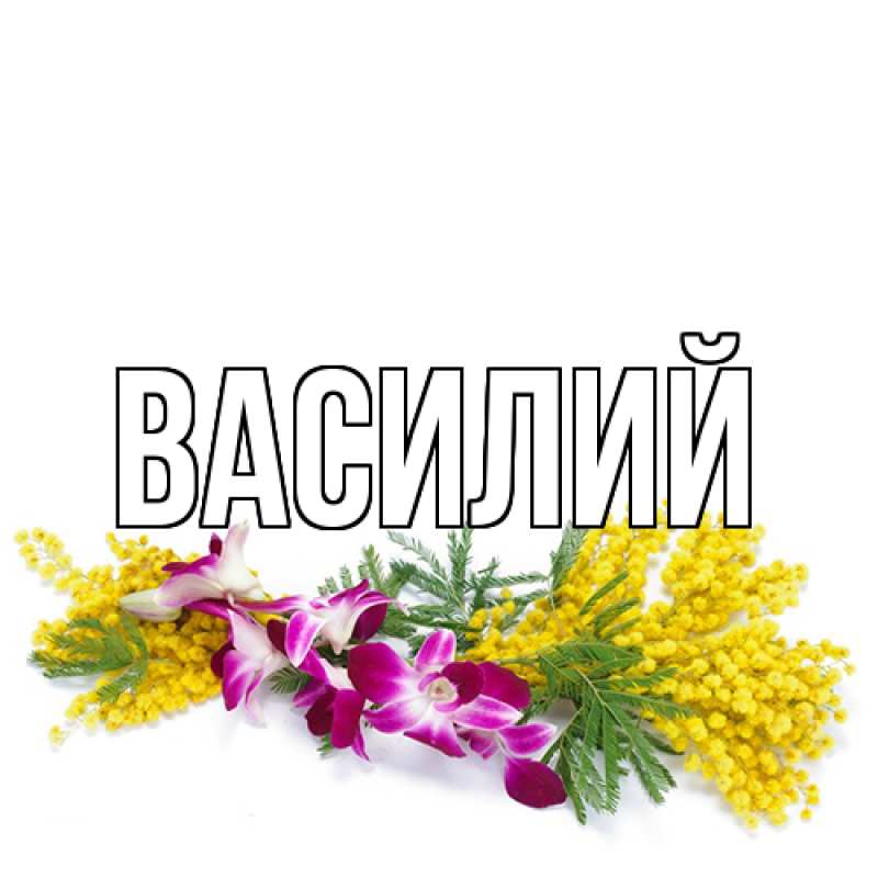 Картинка  с именем , Василий