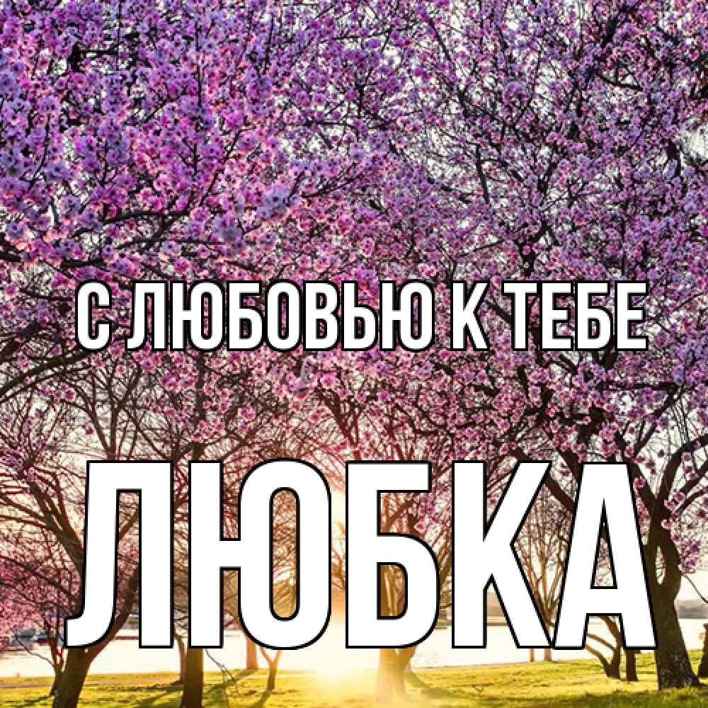 Открытка  с именем. Любка, С любовью к тебе  