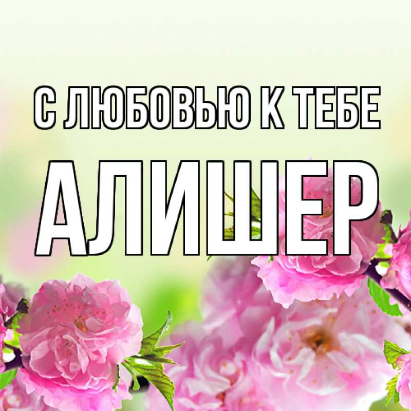Картинка С любовью к тебе, Алишер