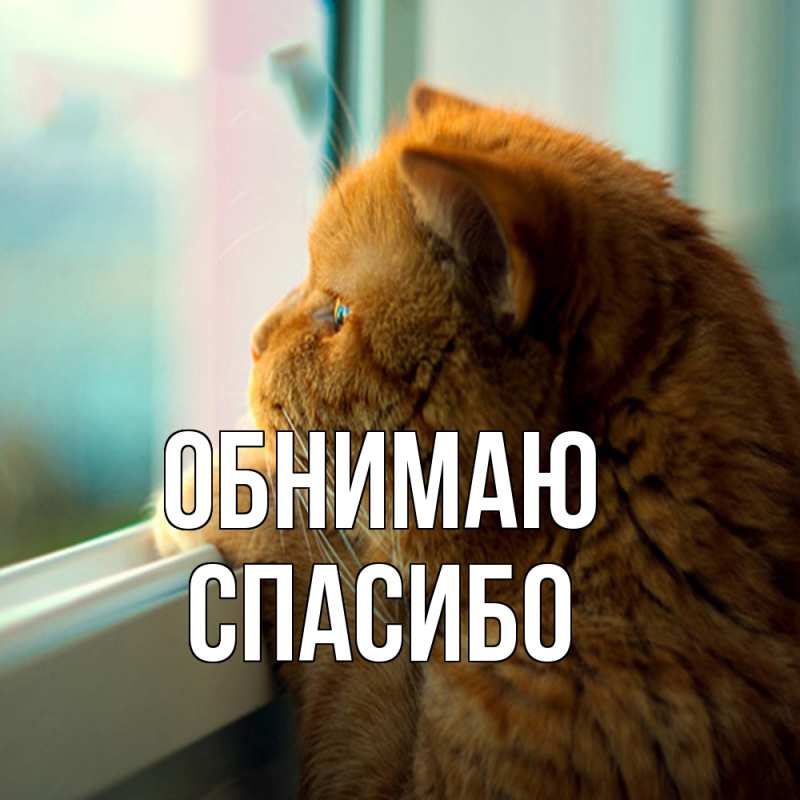 Картинка Обнимаю, СПАСИБО