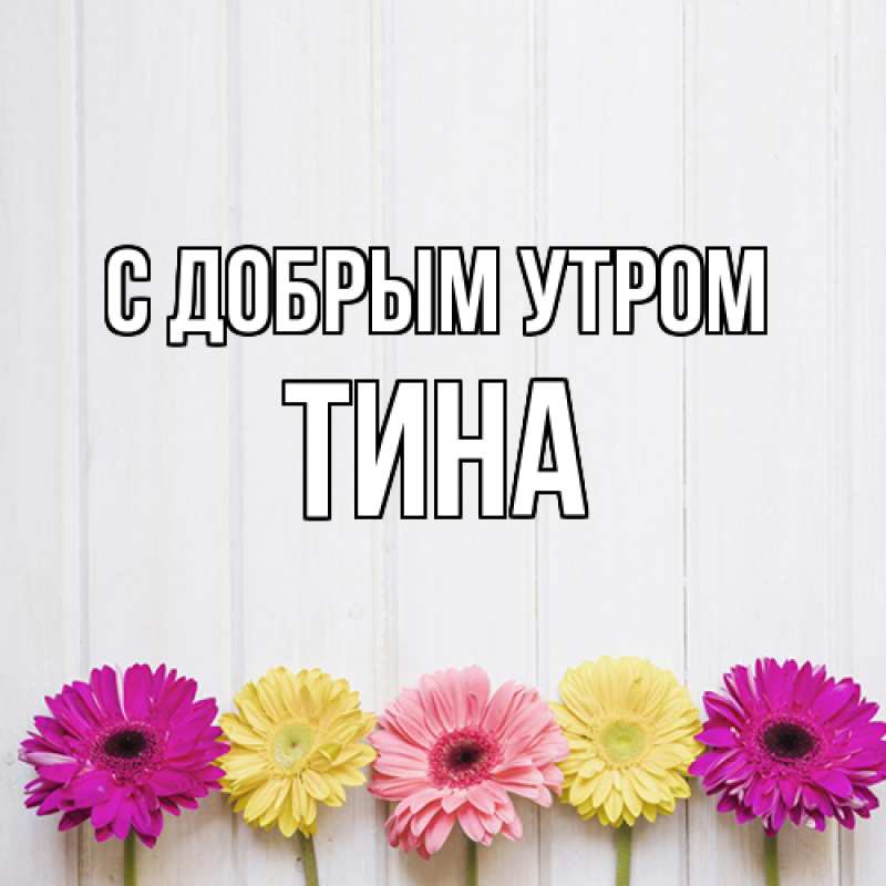 Картинка С добрым утром, Тина