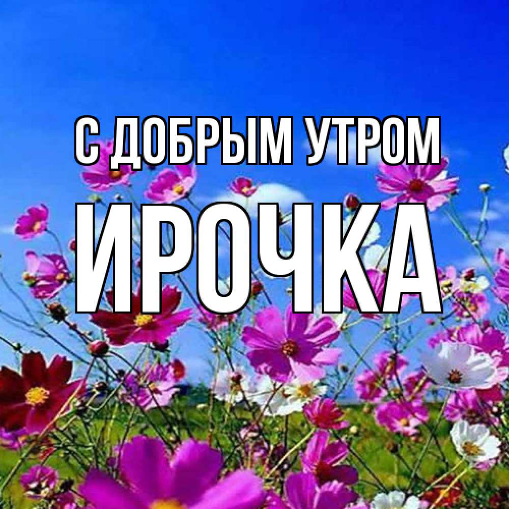 Открытка  с именем. Ирочка, С добрым утром  