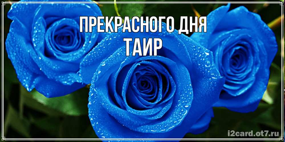 Открытка  с именем. Таир, Прекрасного дня  