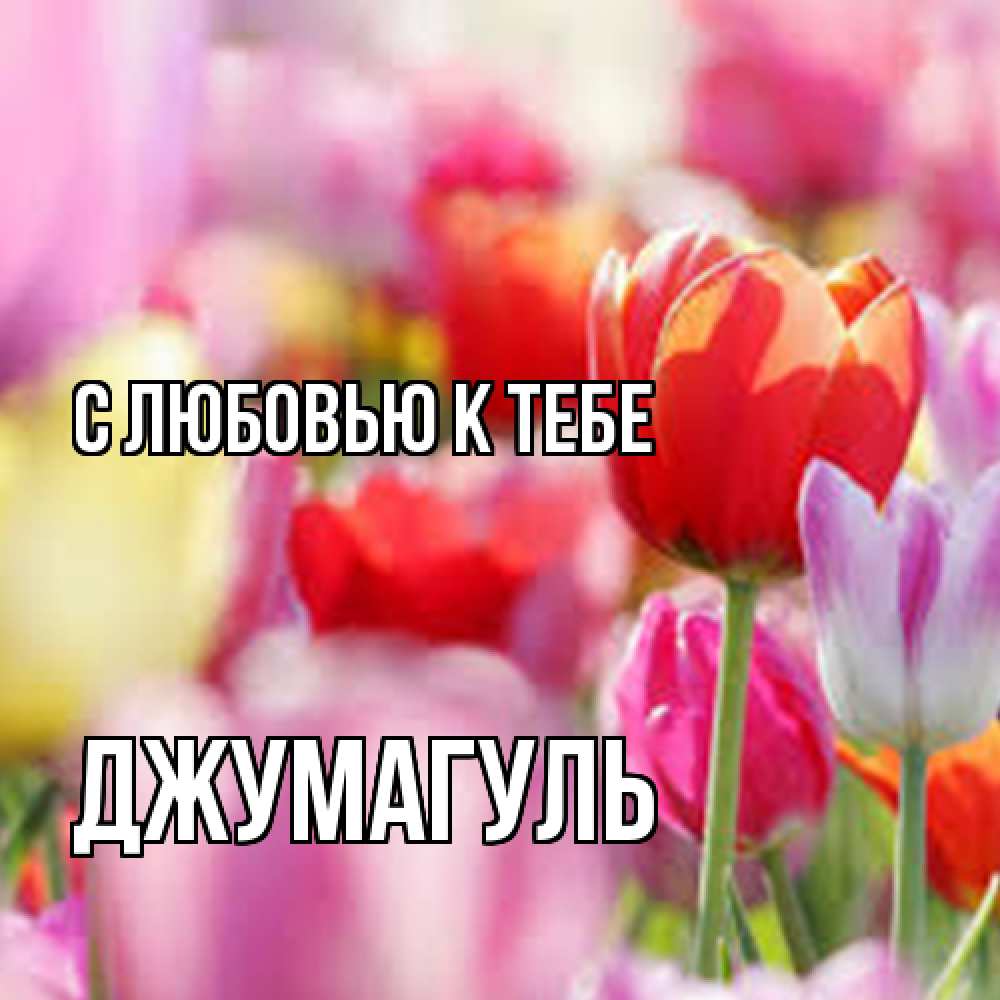 Открытка  с именем. Джумагуль, С любовью к тебе  