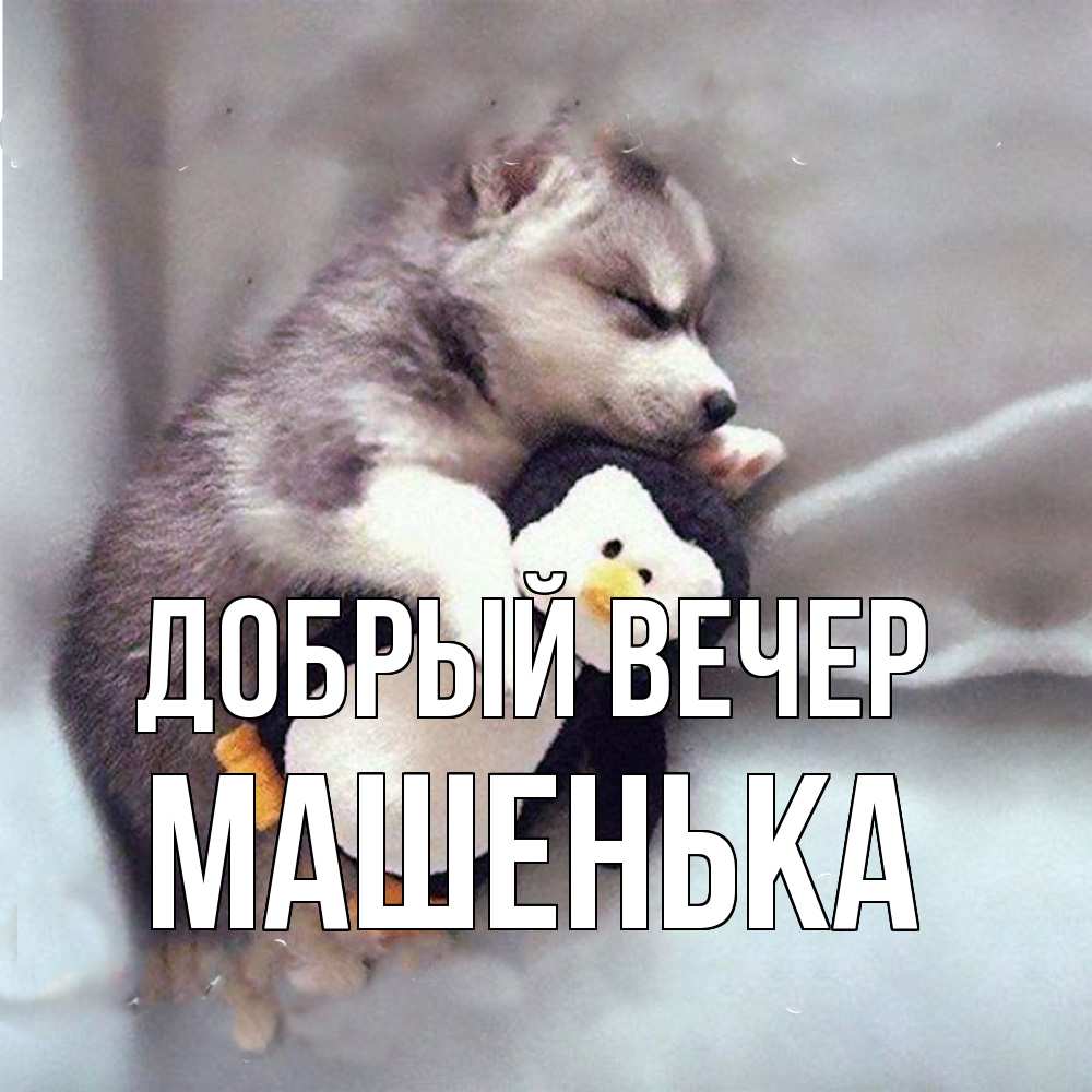 Открытка  с именем. Машенька, Добрый вечер  