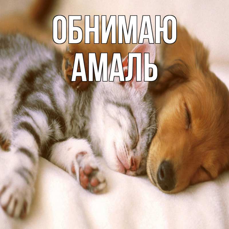 Картинка Обнимаю, Амаль
