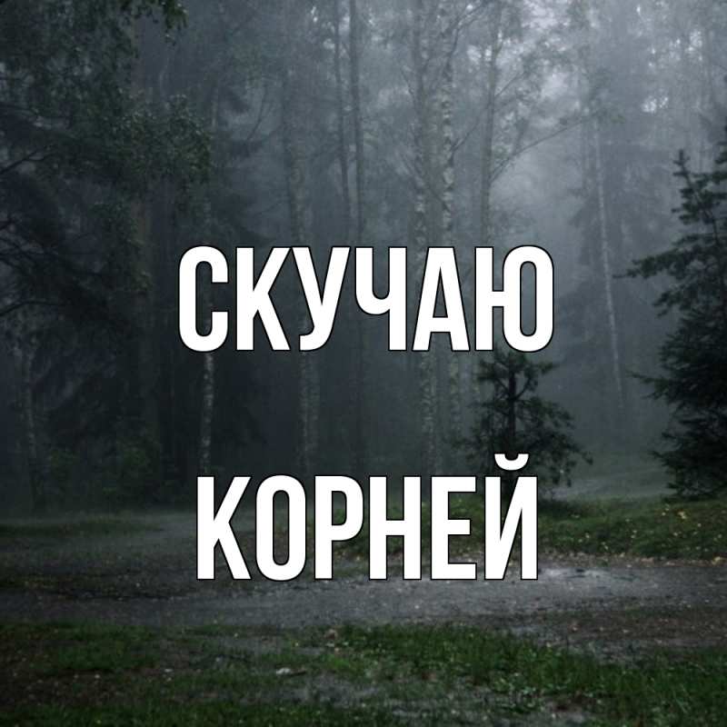 Картинка Скучаю, Корней