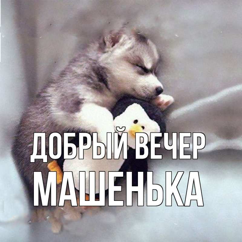 Картинка Добрый вечер, Машенька
