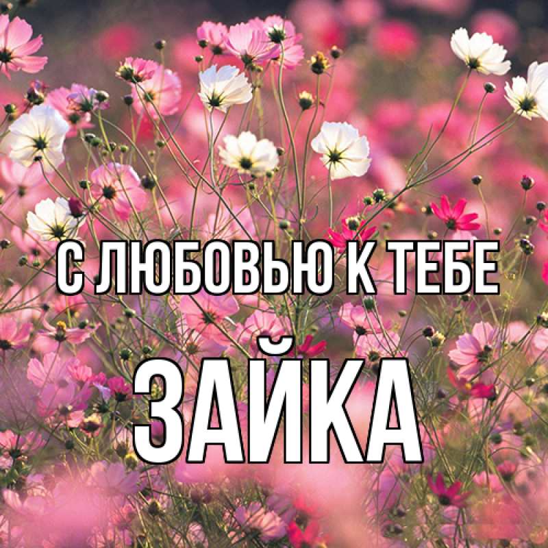 Картинка С любовью к тебе, Зайка