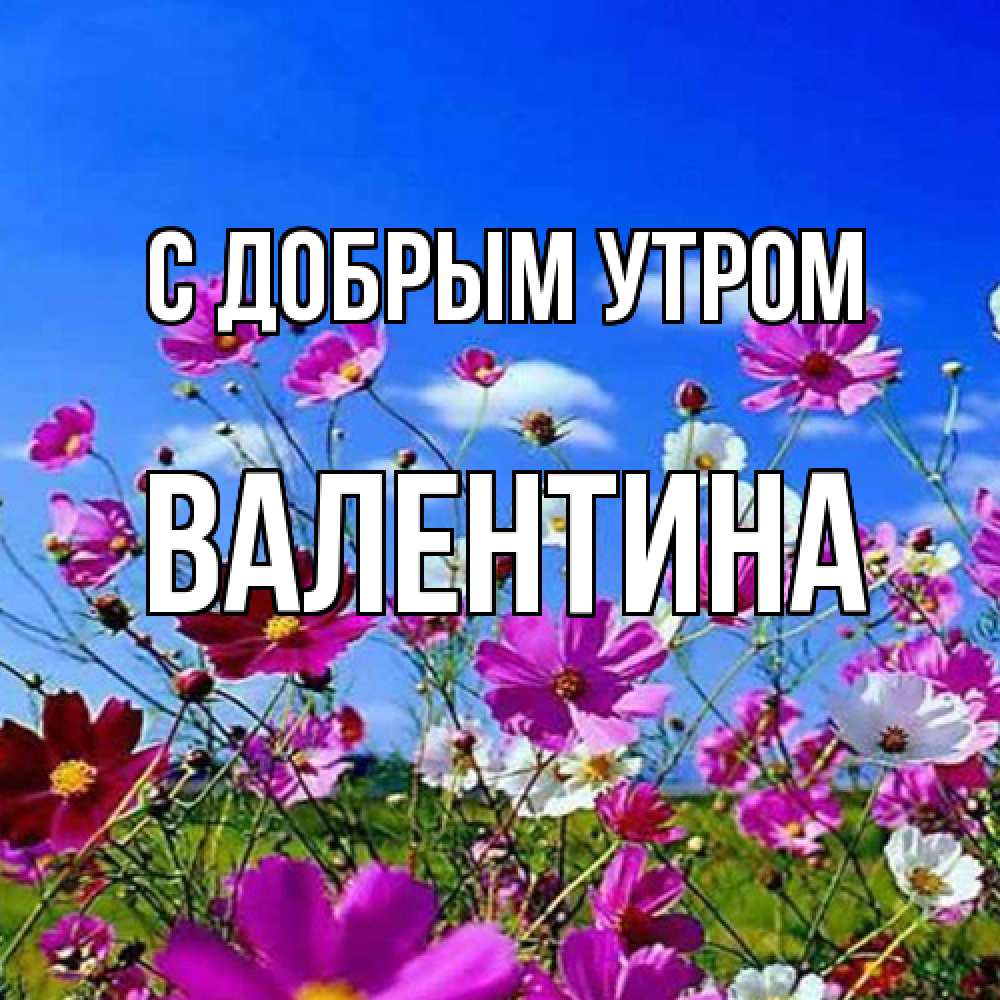Открытка  с именем. Валентина, С добрым утром  