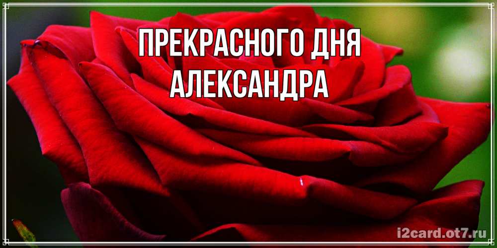 Открытка  с именем. Александра, Прекрасного дня  