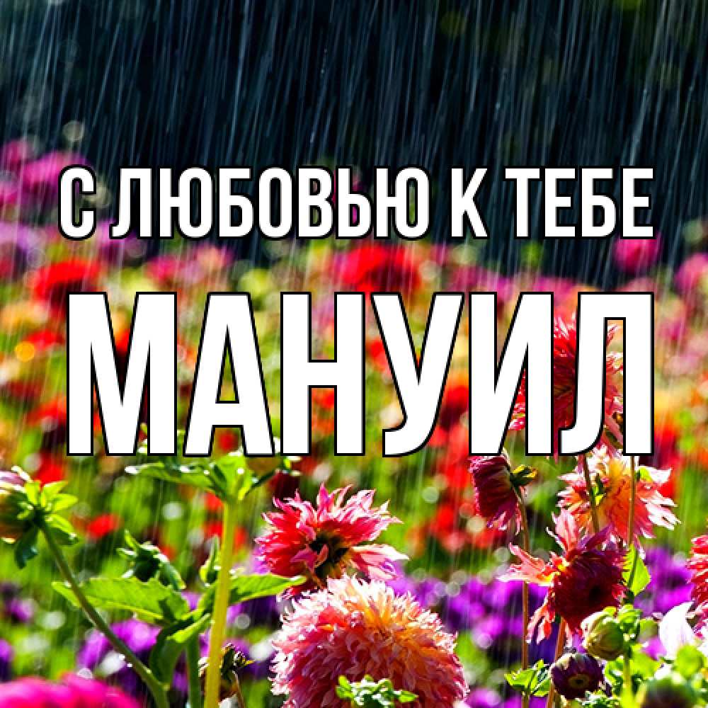 Открытка  с именем. Мануил, С любовью к тебе  