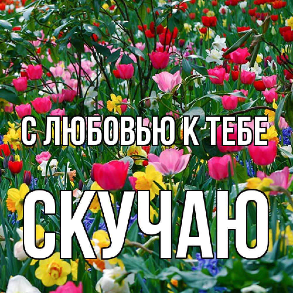 Открытка  с именем. Скучаю, С любовью к тебе  