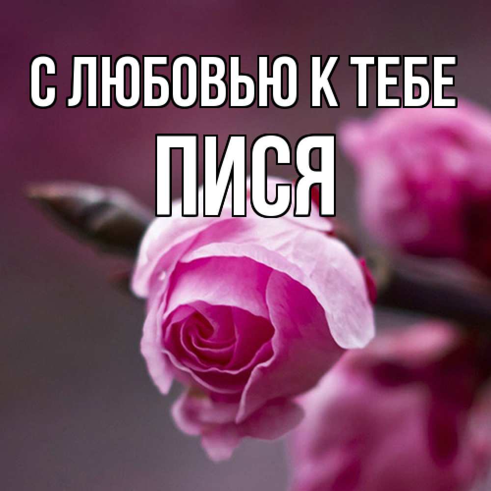 пися  