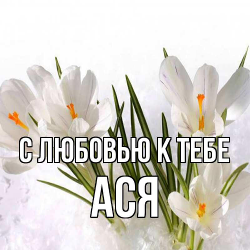 Картинка С любовью к тебе, Ася