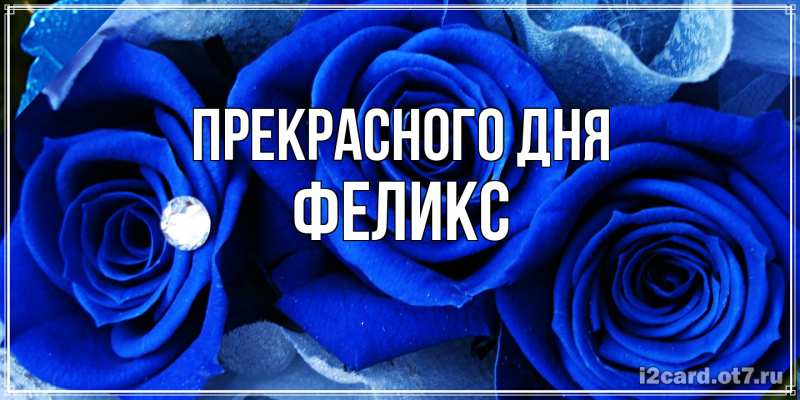 Картинка Прекрасного дня, Феликс