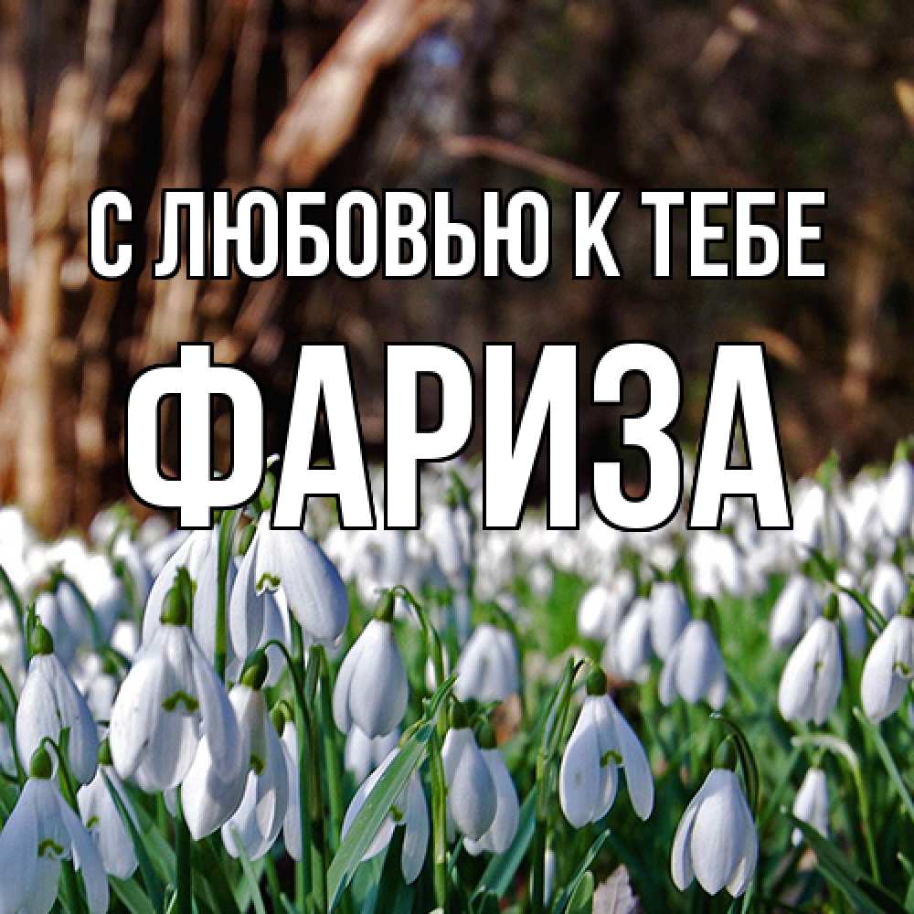 Открытка  с именем. Фариза, С любовью к тебе  