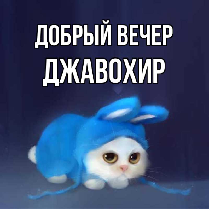Картинка Добрый вечер, Джавохир