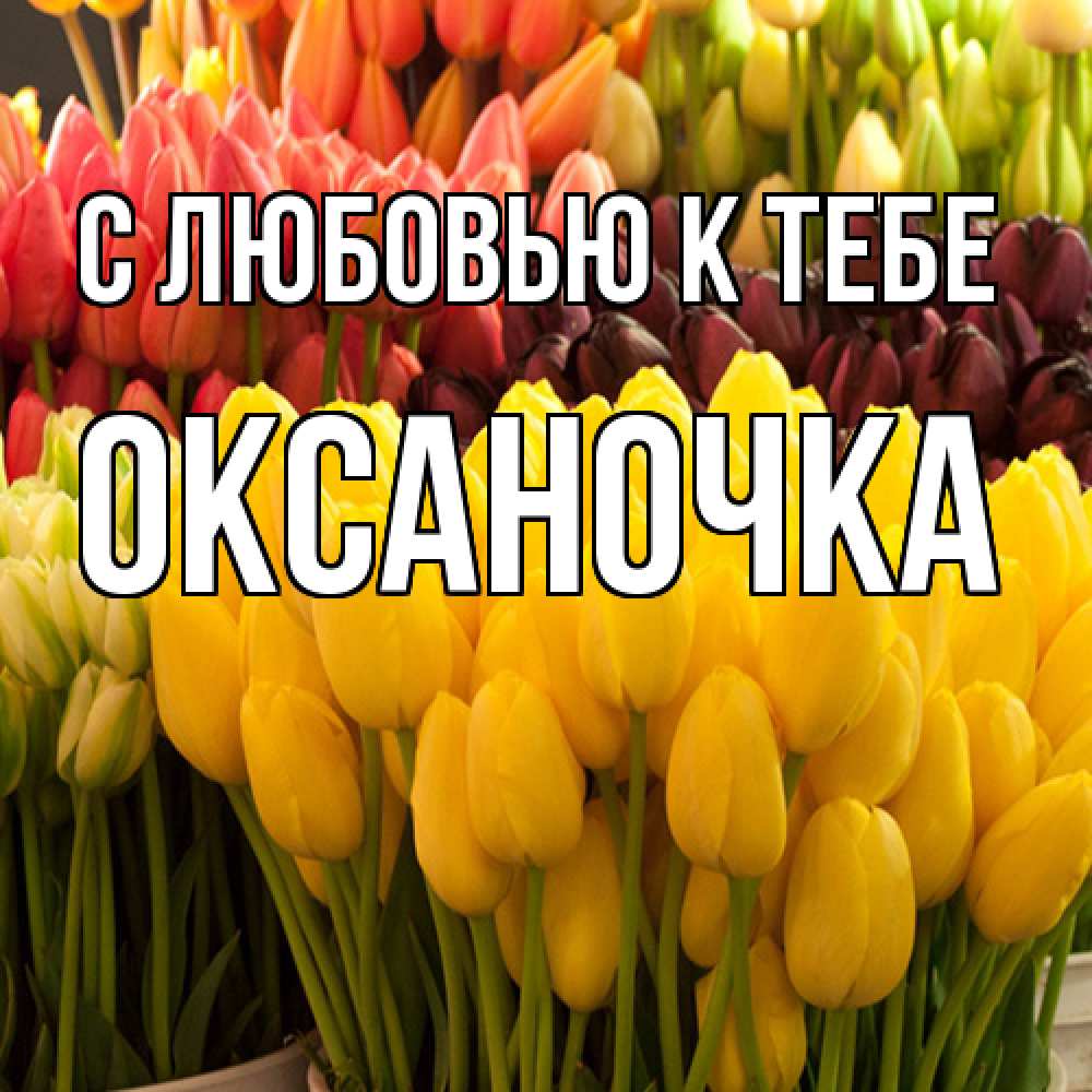 Открытка  с именем. ОКСАНОЧКА, С любовью к тебе  