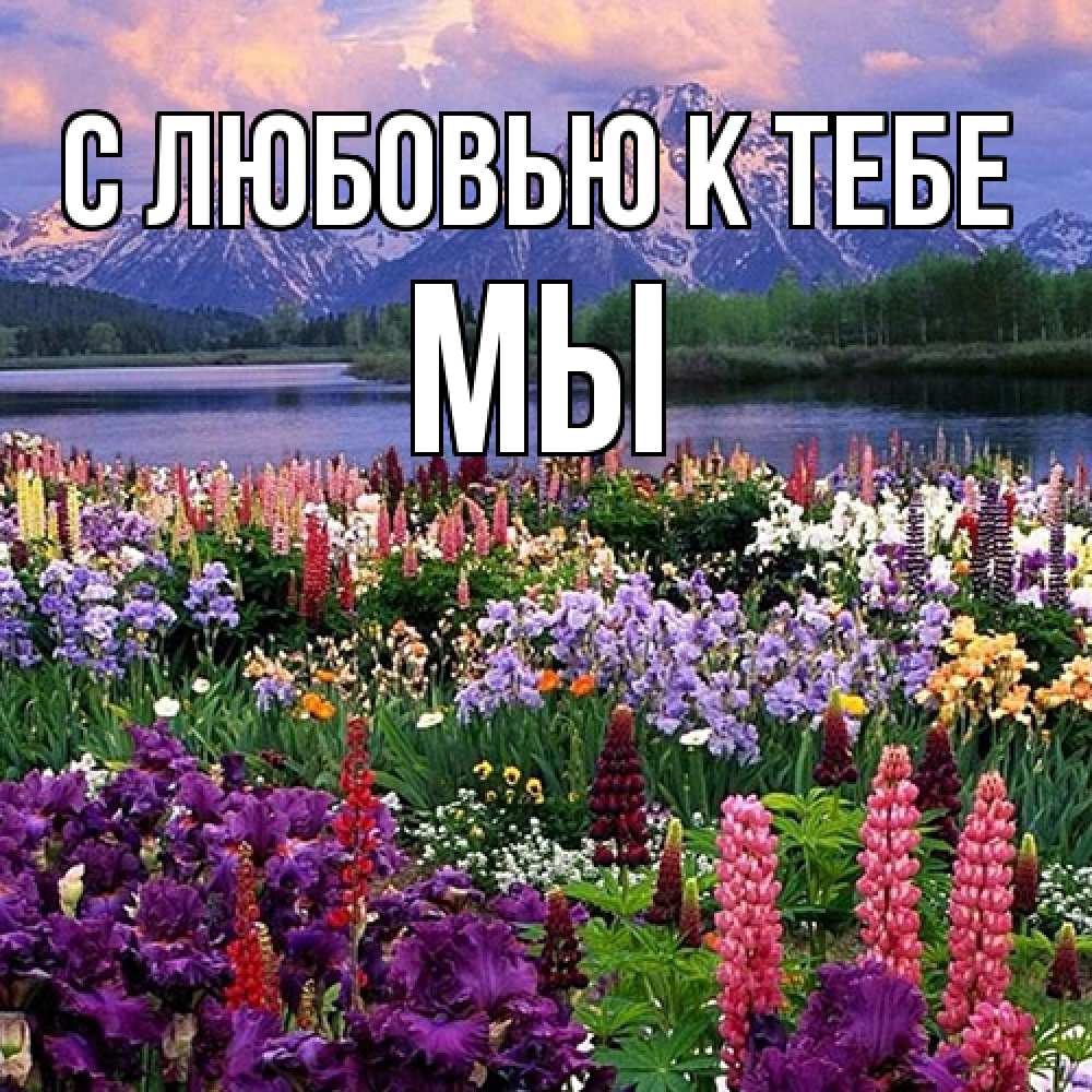 Открытка  с именем. Мы, С любовью к тебе  