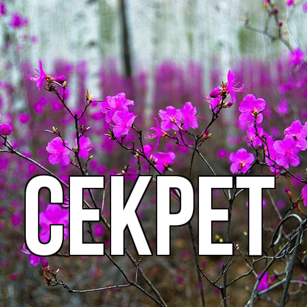 Открытка  с именем. Секрет, Главная  