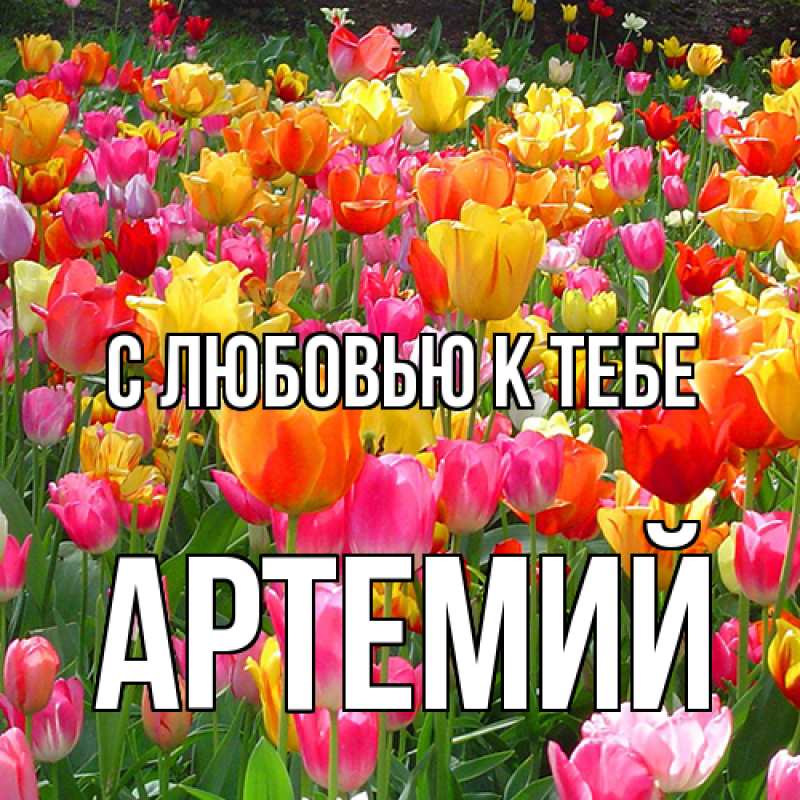 Картинка С любовью к тебе, Артемий