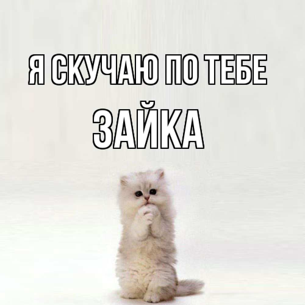 Открытка  с именем. Зайка, Я скучаю по тебе  