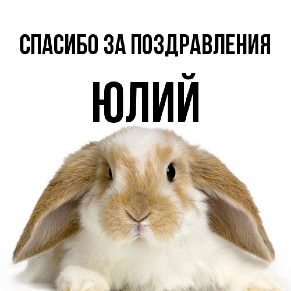 Открытка  с именем. Юлий, Спасибо за поздравления  