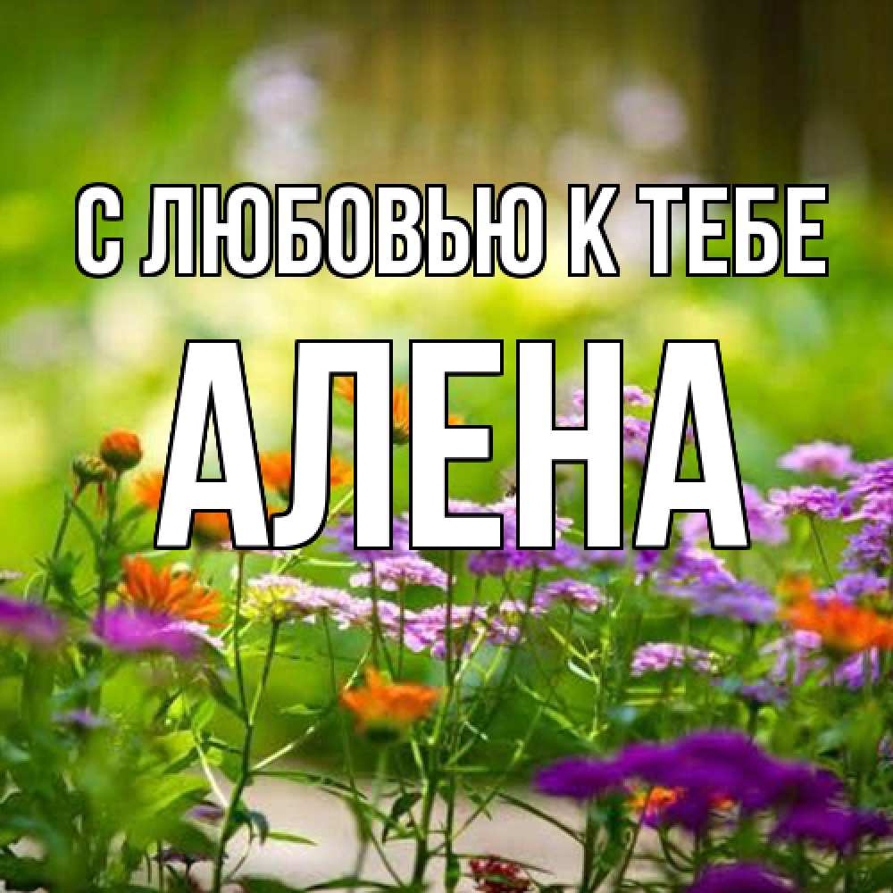 Открытка  с именем. Алена, С любовью к тебе  