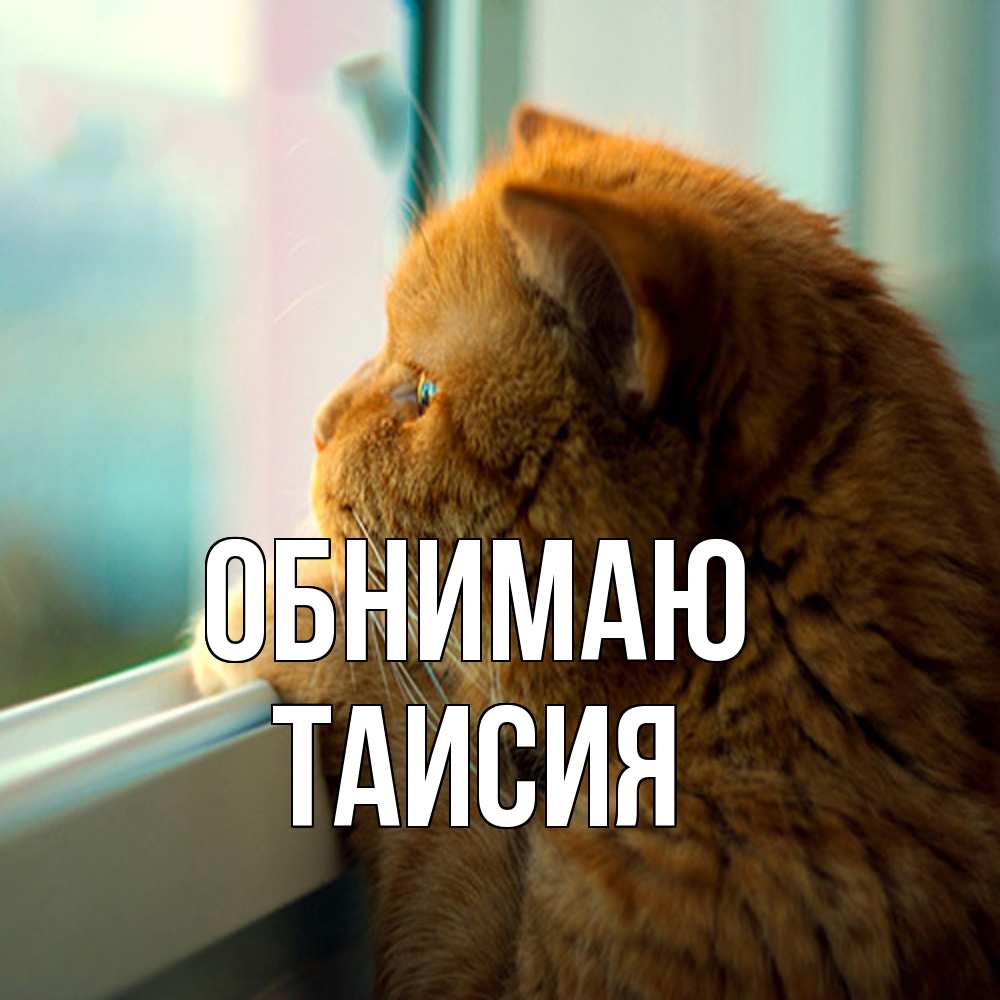 Открытка  с именем. Таисия, Обнимаю  
