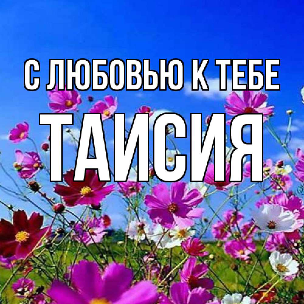 Открытка  с именем. Таисия, С любовью к тебе  