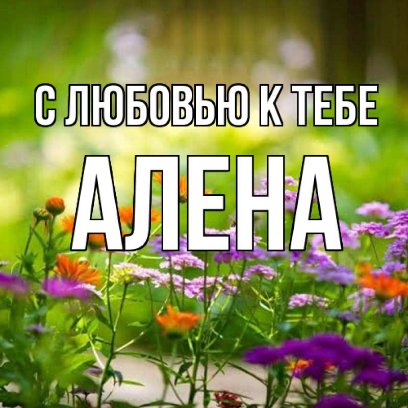 Картинка С любовью к тебе, Алена
