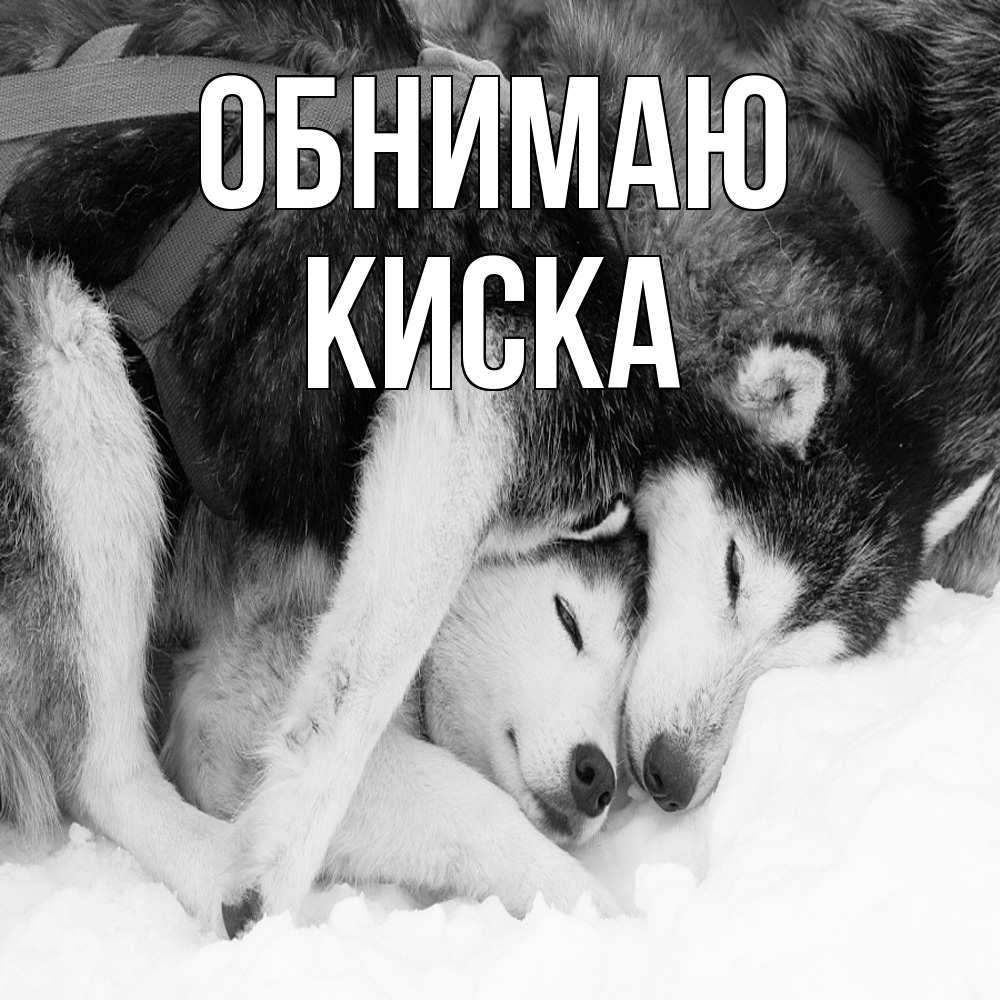 Открытка  с именем. Киска, Обнимаю  