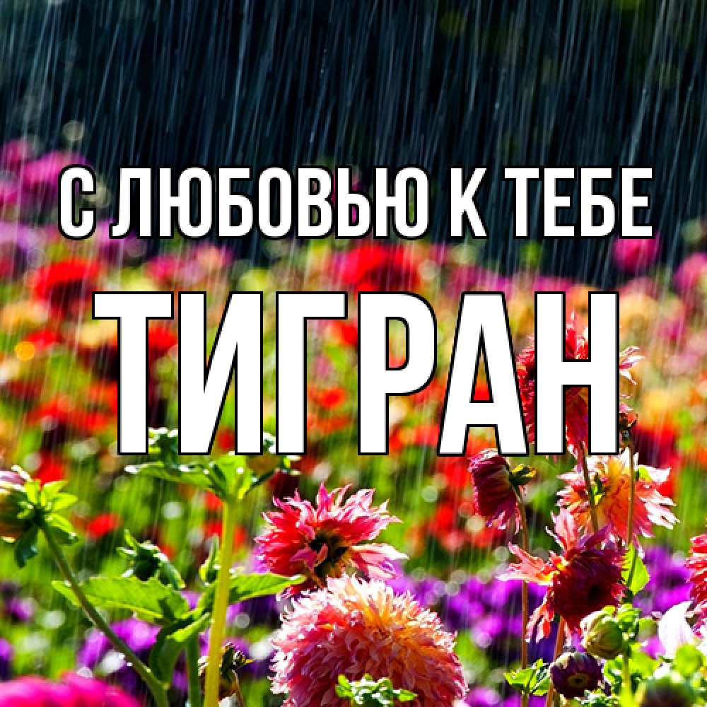 Открытка  с именем. Тигран, С любовью к тебе  