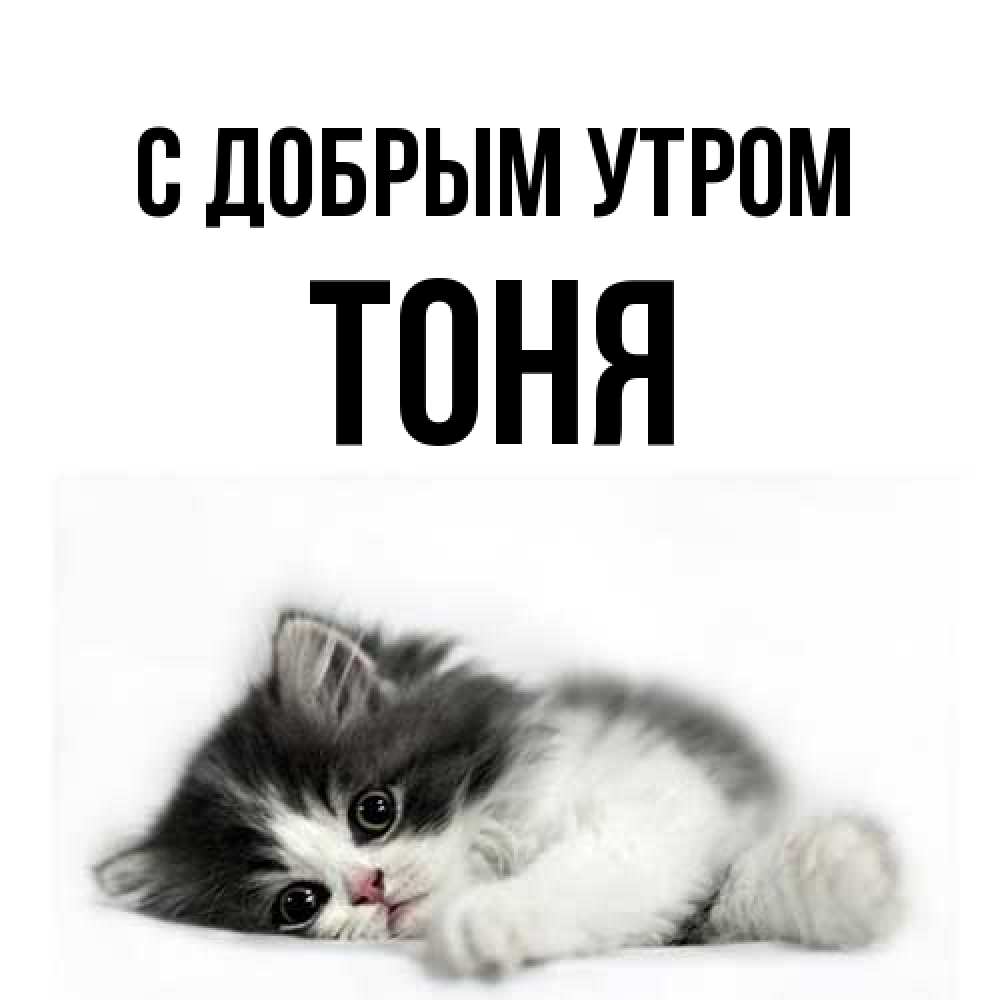 Открытка  с именем. Тоня, С добрым утром  