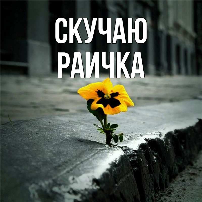 Картинка Скучаю, Раичка