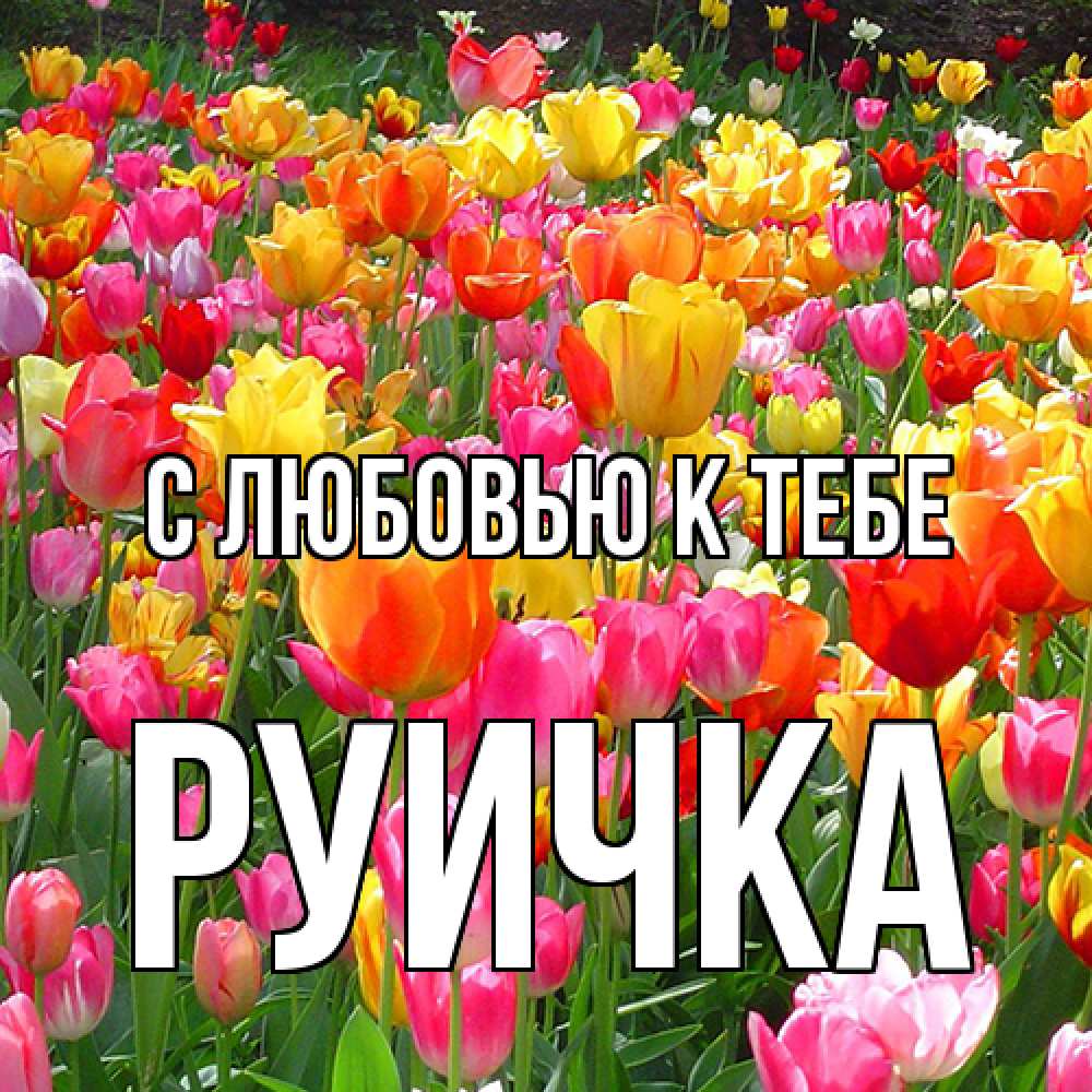 Открытка  с именем. Руичка, С любовью к тебе  