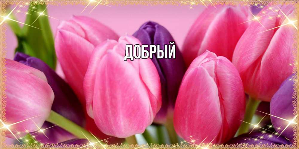 Открытка  с именем. Добрый, Главная  